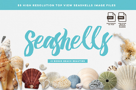 Seashells image files - Mockup Pack
