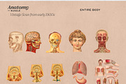 Anatomy Collage Elements 200+, an Illustration by Francesco Stefanini (Thumbnail 8 of 10)