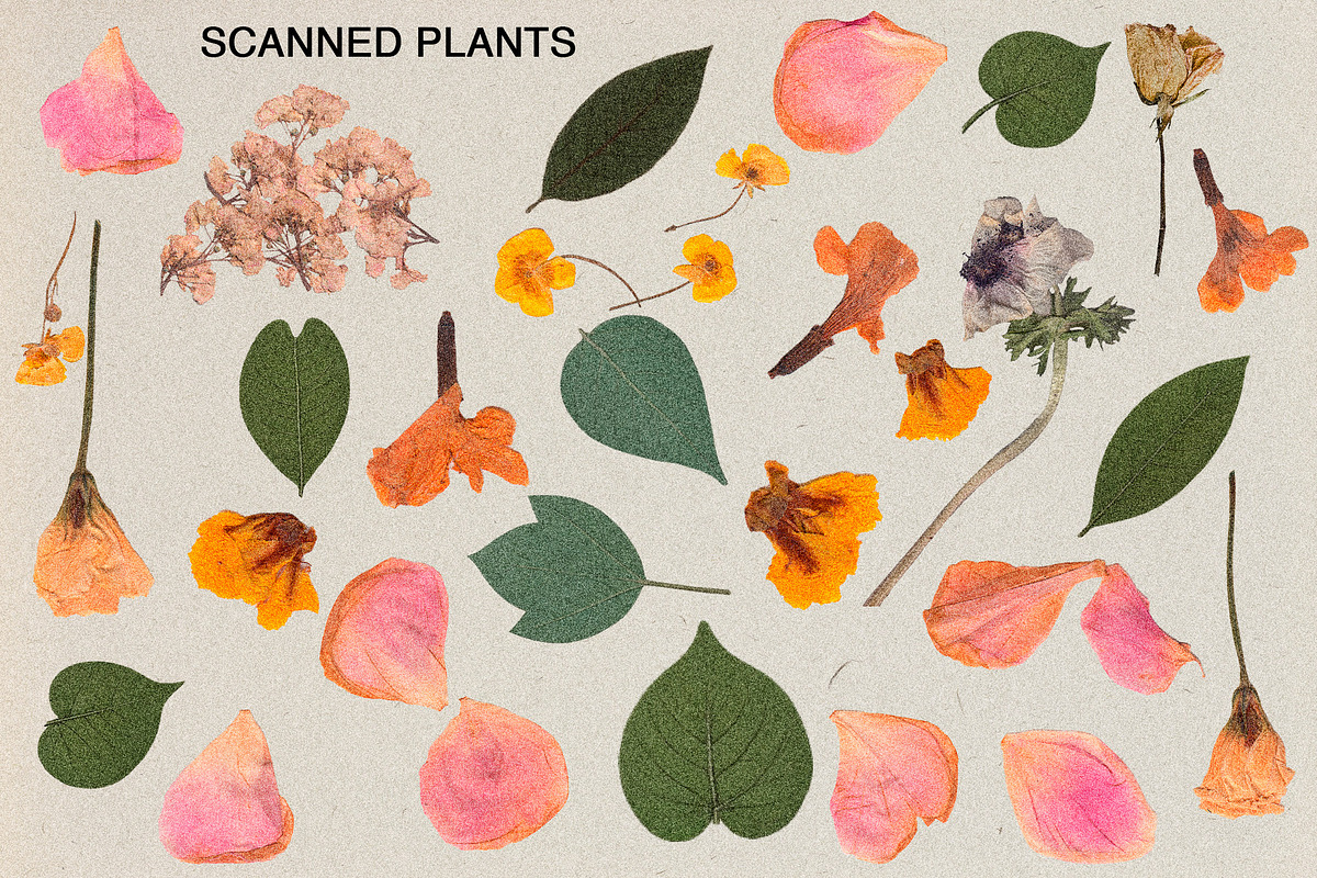 Сreative retro collages, an Object Graphic by Aleks.Flaks (Photo 13 of 18)