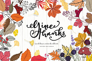 Autumn/Fall for Give Thanks Handdraw