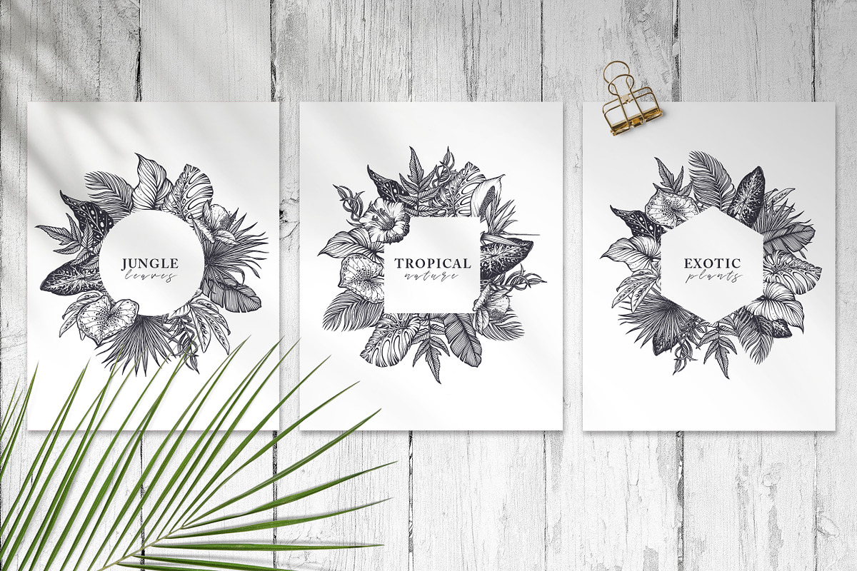 Tropical nature vector set, an Animal Illustration by Molly art (Photo 5 of 15)