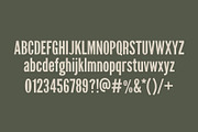 Hamlet Vintage Font, a Sans Serif Font by Sombrero Craft (Thumbnail 2 of 4)