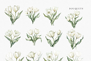 Tulip Whisper - Watercolor Clipart, an Illustration by ThaismotaCreativeCo (Thumbnail 4 of 10)