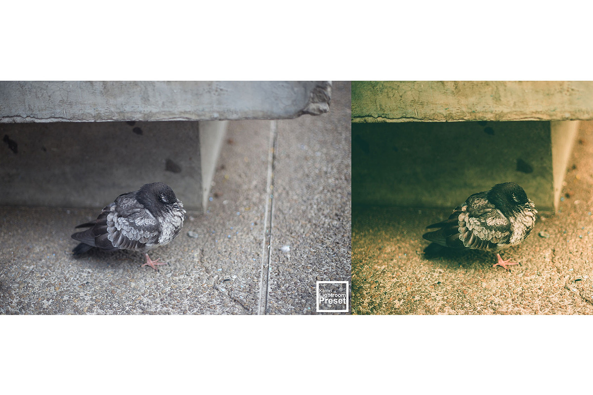 Kamin Film Feeling Roll 3, an Action Add-On by Kamin Lightroom Preset (Photo 16 of 22)