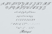Fadune – Calligraphy Font Family, a Script Font by NDNL Studio (Thumbnail 9 of 10)