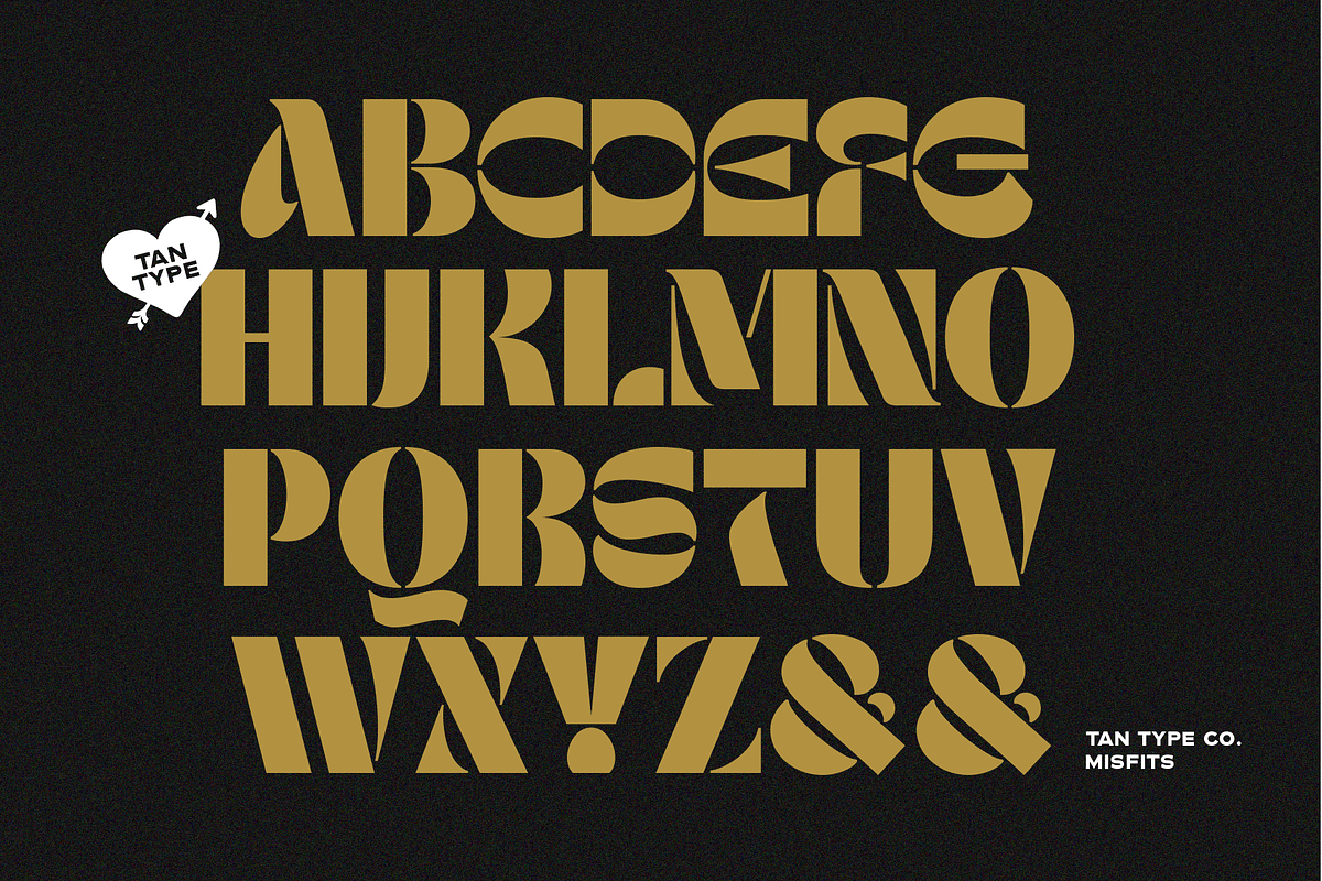 TAN - MISFITS, a Font by TanType (Photo 15 of 15)