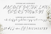 Practice Script, a Script Font by TypeMakers (Thumbnail 5 of 9)