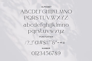 Manrog Modern Ligature Typeface, a Serif Font by BOOSH Studio (Thumbnail 3 of 5)