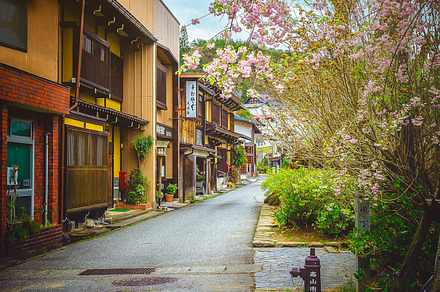 Spring. Flower.