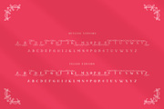 The Charleston Font Duo, a Serif Font by Salt & Pepper Designs (Thumbnail 6 of 8)