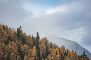 Autumn landscape with foggy mountain, a Photo by Fascinadora