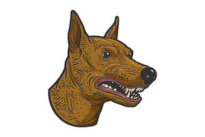 Growling Doberman Dog Color Sketch