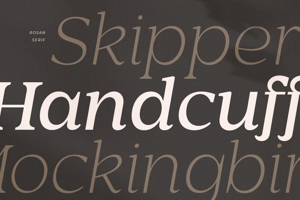 Rosan Serif - Cinematic Serif Font, a Serif Font by Hamz Studio (Photo 15 of 16)
