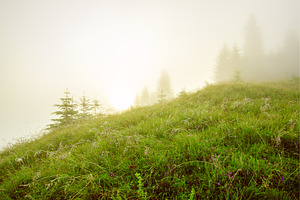 Foggy morning landscape, a Nature Photo by Nature and travel