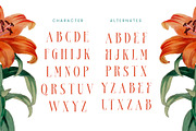 Bestsky Modern Luxury Display Serif, a Serif Font by timelesstype.co (Thumbnail 18 of 20)
