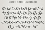 Monstere Script | Sketch Style, a Script Font by Royaltype (Thumbnail 8 of 11)