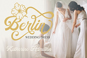 Golden Jewelry - Classic And Luxury, a Script Font by PutraCetol Studio (Thumbnail 4 of 11)