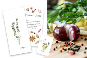 Watercolor Herbs And Spices