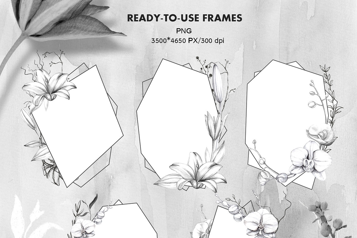 IKEBANA. Botanical Winter Kit., an Illustration by Pink Ocean (Photo 6 of 16)