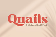 Quails | A Modern Display Serif, a Serif Font by Andrimada Creative (Thumbnail 1 of 13)