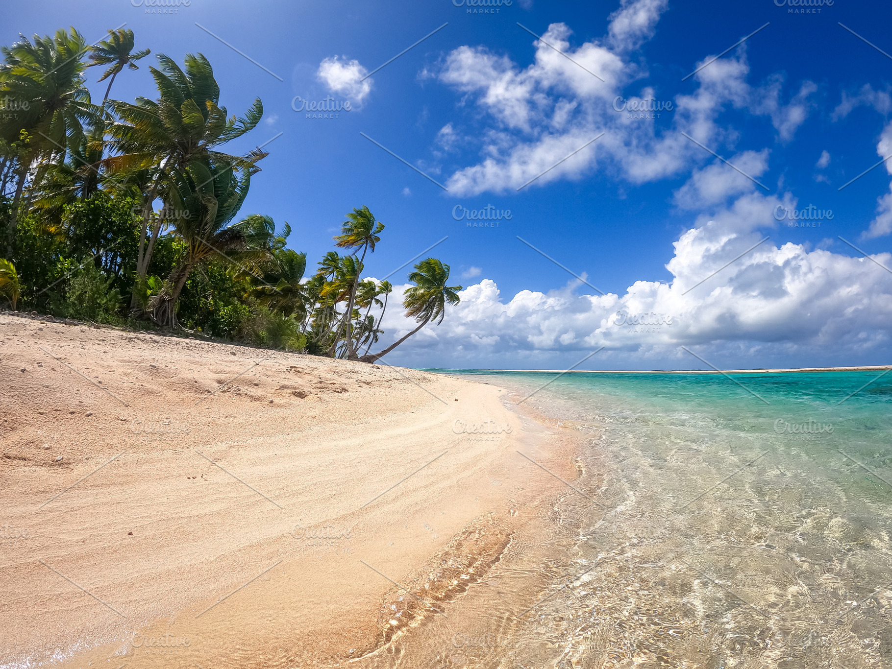 Idyllic motu on Tikehau Atoll, French Polynesia, surrounded by t, a Photo by GoodGoods