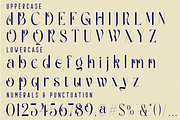 Gradually Reduced Font, a Serif Font by 177Studio (Thumbnail 7 of 7)