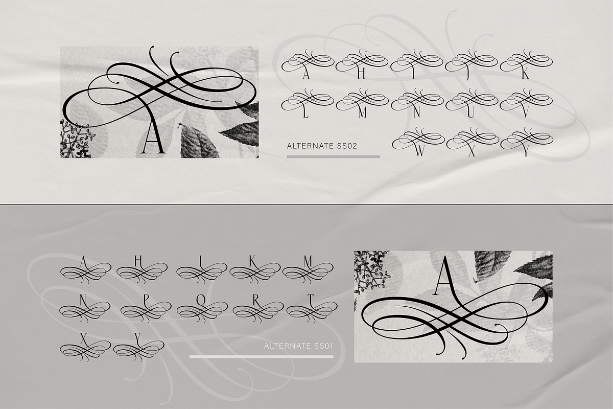 Gondhe - Elegant Serif with Swashes, a Serif Font by Burntilldead (Photo 7 of 12)