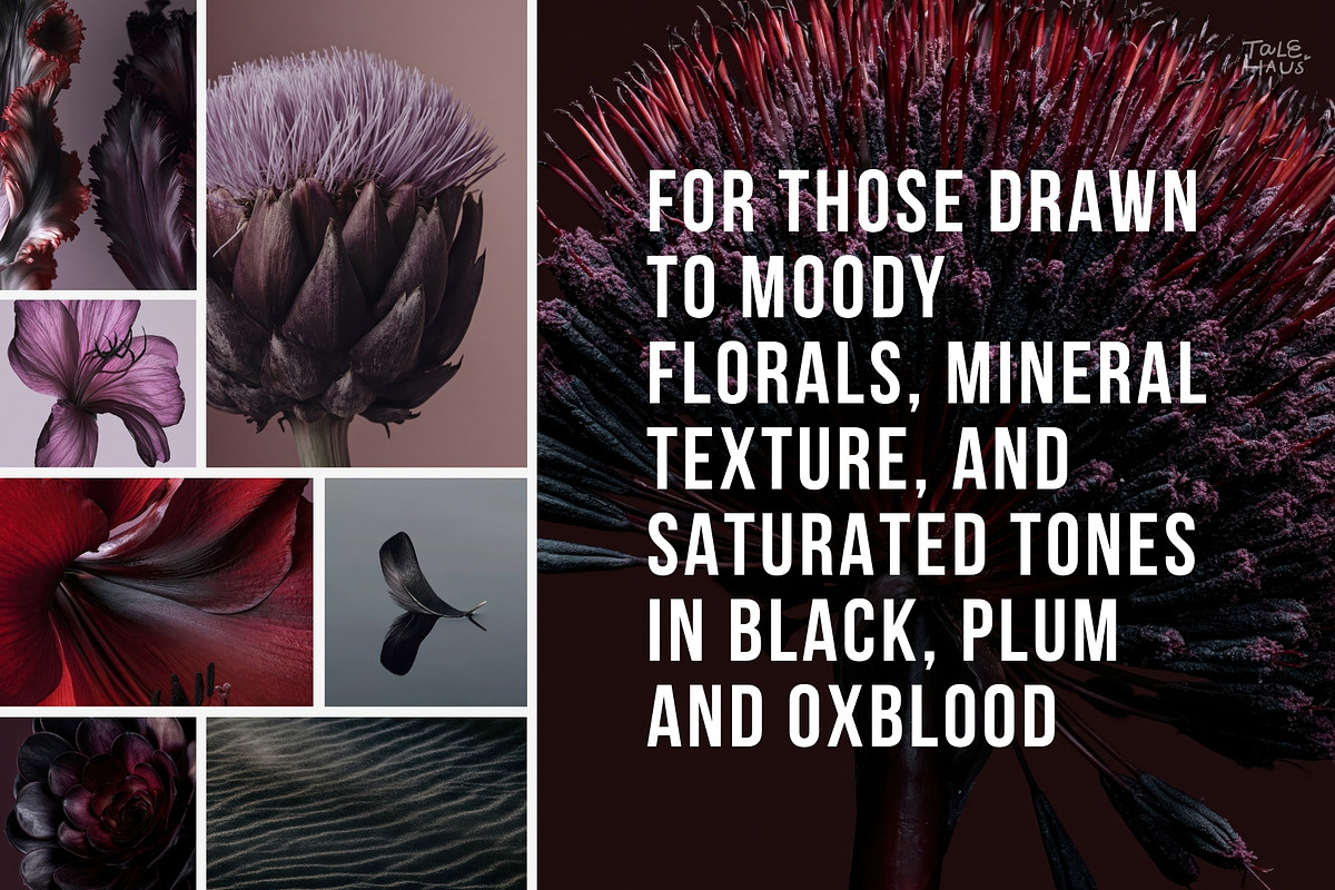 Dark Floral & Mineral Stock Photos, a Nature Photo by Tale.Haus (Photo 3 of 17)