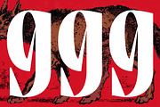 Tieldsa Bold Serif Display Font, a Serif Font by timelesstype.co (Thumbnail 7 of 20)
