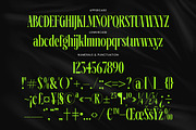 Ehkofa Modern Display Serif Font, a Serif Font by timelesstype.co (Thumbnail 11 of 20)