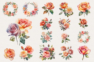 Peach Roses Watercolor Clipart. AI