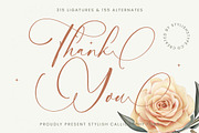 Nourisha Besthafi Stylish Font, a Script Font by stylishtype.co (Thumbnail 20 of 20)