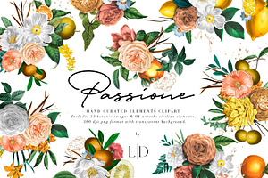 Passione | Italian elements, an Illustration by Luiz da Rolt Grathwohl