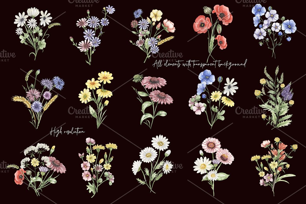 Watercolor Field Flowers Collection, a Decorative Illustration by MayaNavits (Photo 7 of 16)