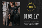 Newston - Stylish Serif Font, a Serif Font by Arterfak Project (Thumbnail 5 of 11)