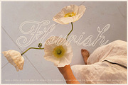The Blooming Hour Botanical Script, a Script Font by AnMark (Thumbnail 2 of 12)