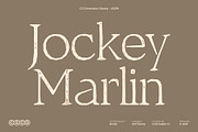 CS Dimension Stamp, a Serif Font by Craft Supply Co. (Thumbnail 4 of 8)