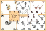 Wild Animals, an Animal Illustration by Ecaterina Sciuchina (Thumbnail 3 of 3)