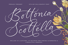 Bottonia Scottella Calligraphy Font