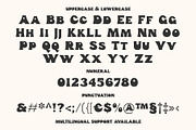 Funk Gibson - Display Font, a Font by Prioritype Co (Thumbnail 10 of 10)