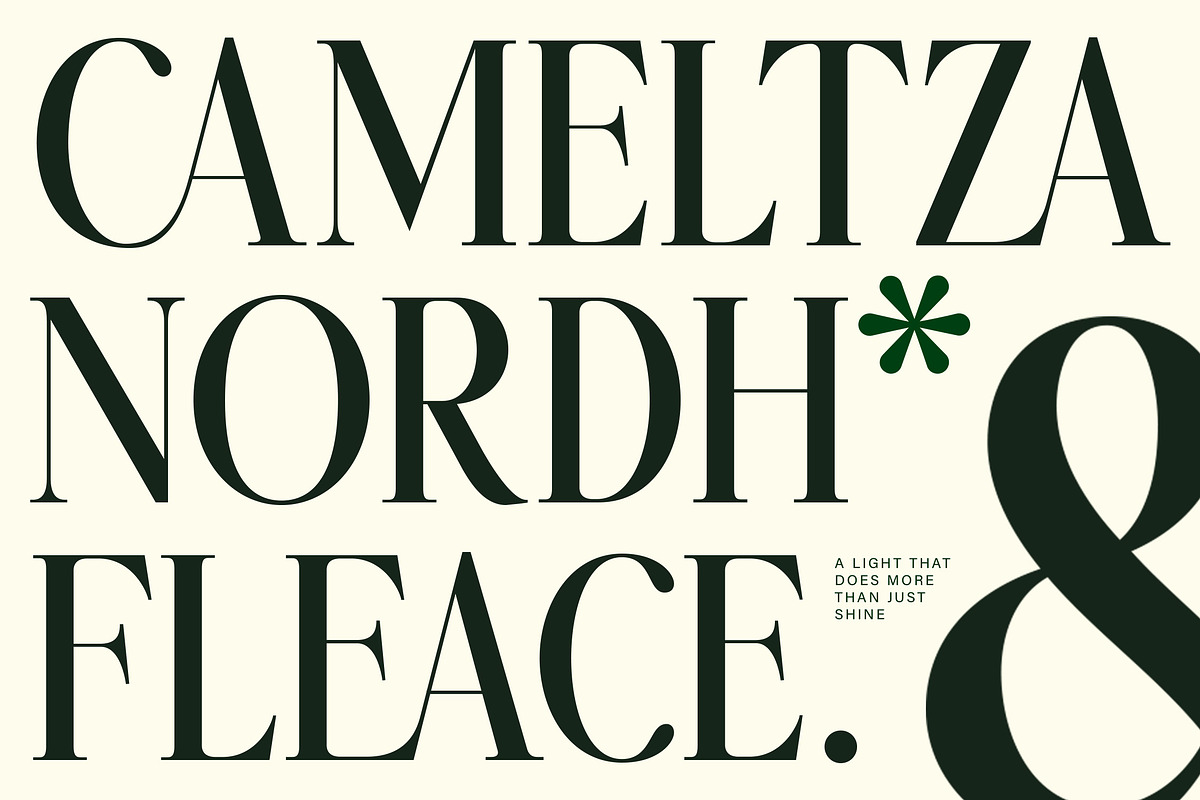 Twoswash - Beauty Elegant Serif, a Serif Font by Typia Nesia (Photo 5 of 11)