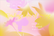 Spring-Grainy Gradient Textures, a Background Graphic by Kimo Studio (Thumbnail 3 of 22)