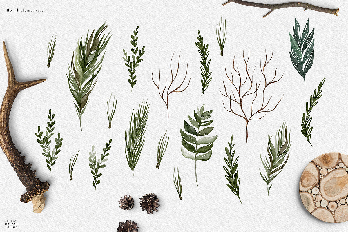 Forest Equilibrium Collection, an Animal Illustration by Julia Dreams (Photo 7 of 8)