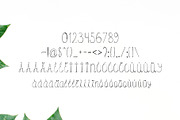 Amidala Script Font, a Script Font by Creativetacos (Thumbnail 3 of 5)