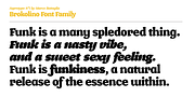 Brokolino Text, a Slab Serif Font by Aspro Type (Thumbnail 10 of 14)