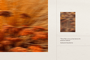Harvest Rituals | Autumn Images, a Background Photo by bron.alexander (Thumbnail 4 of 12)