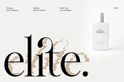 Treifany, a Serif Font by Attract Studio (Thumbnail 7 of 20)