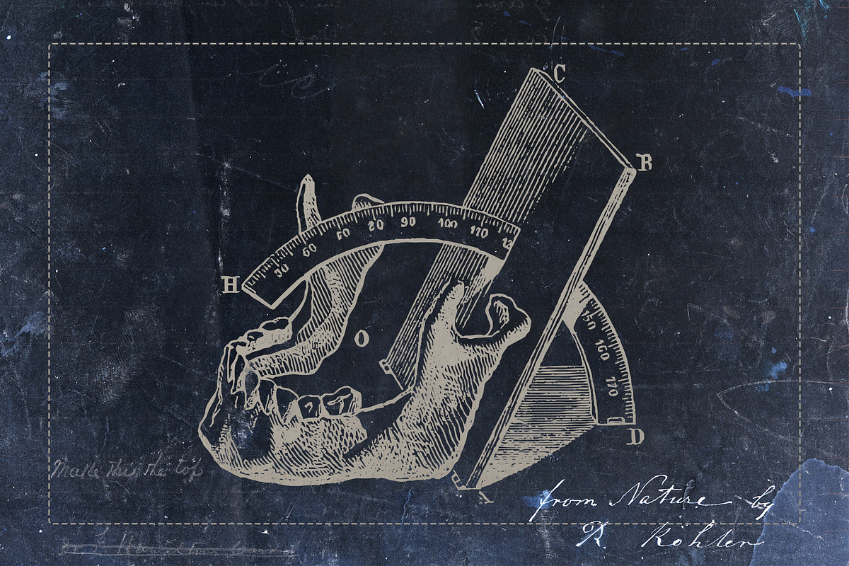 Craniometry, an Object Graphic by Sick Optix (Photo 2 of 8)