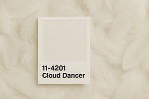 Frame of color number on feather background, a Photo by Dvoevnore photos