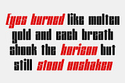 CS Vagabond – Condensed Font, a Sans Serif Font by Craft Supply Co. (Thumbnail 3 of 8)